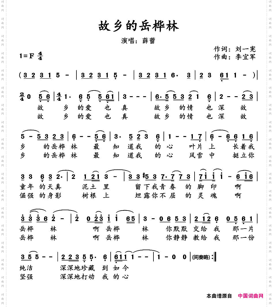 故乡的岳桦林