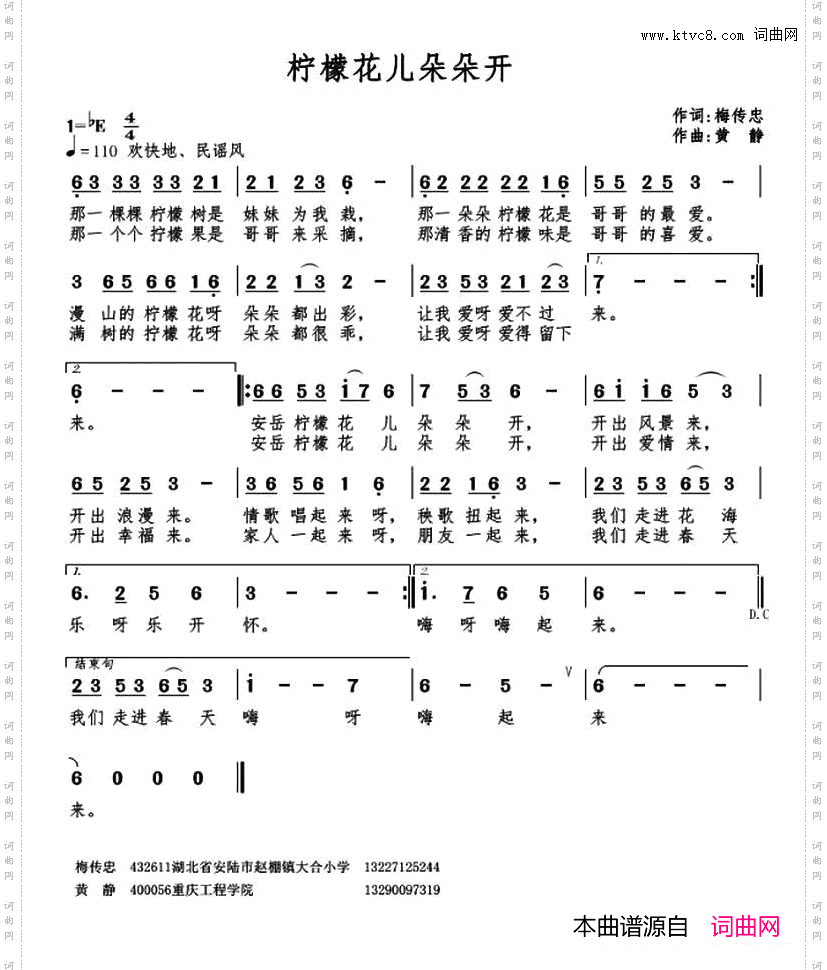 柠檬花儿朵朵开