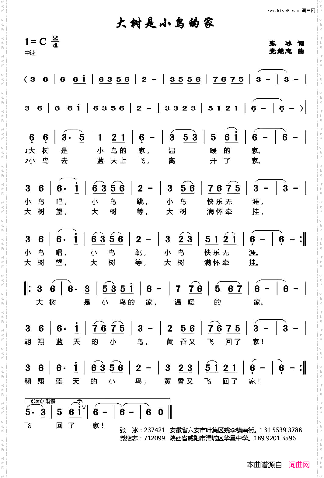 大树是小鸟的家