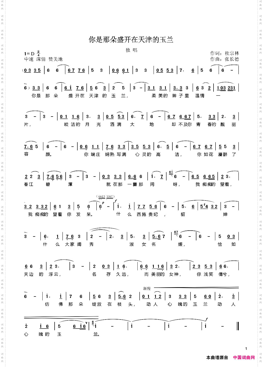 你是那朵盛开在天津的玉兰