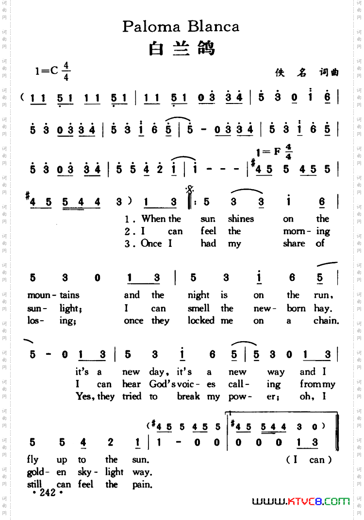 PalomaBlanca白兰鸽_Paloma Blanca白兰鸽