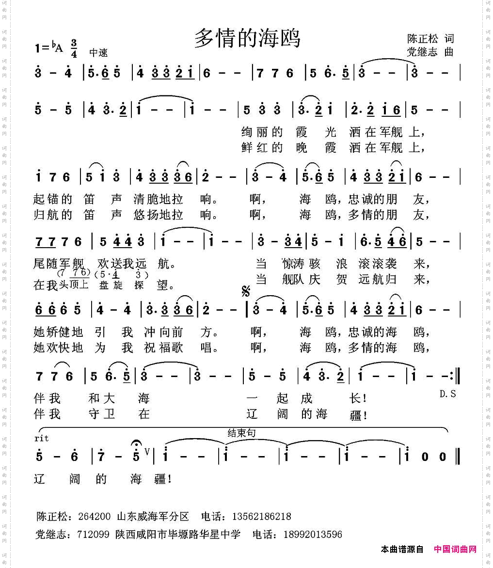 多情的海鸥