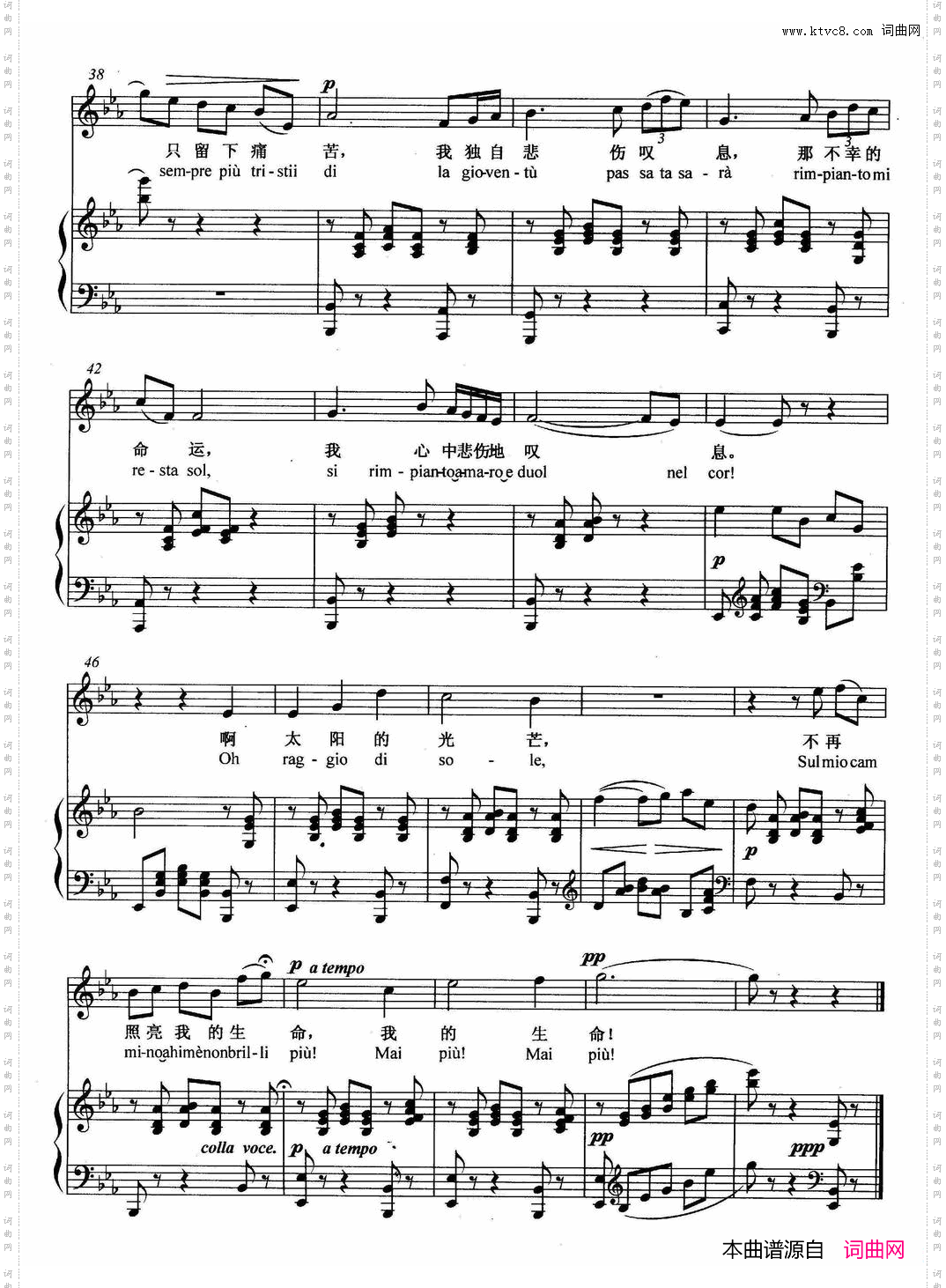 [意]悲叹的小夜曲正谱