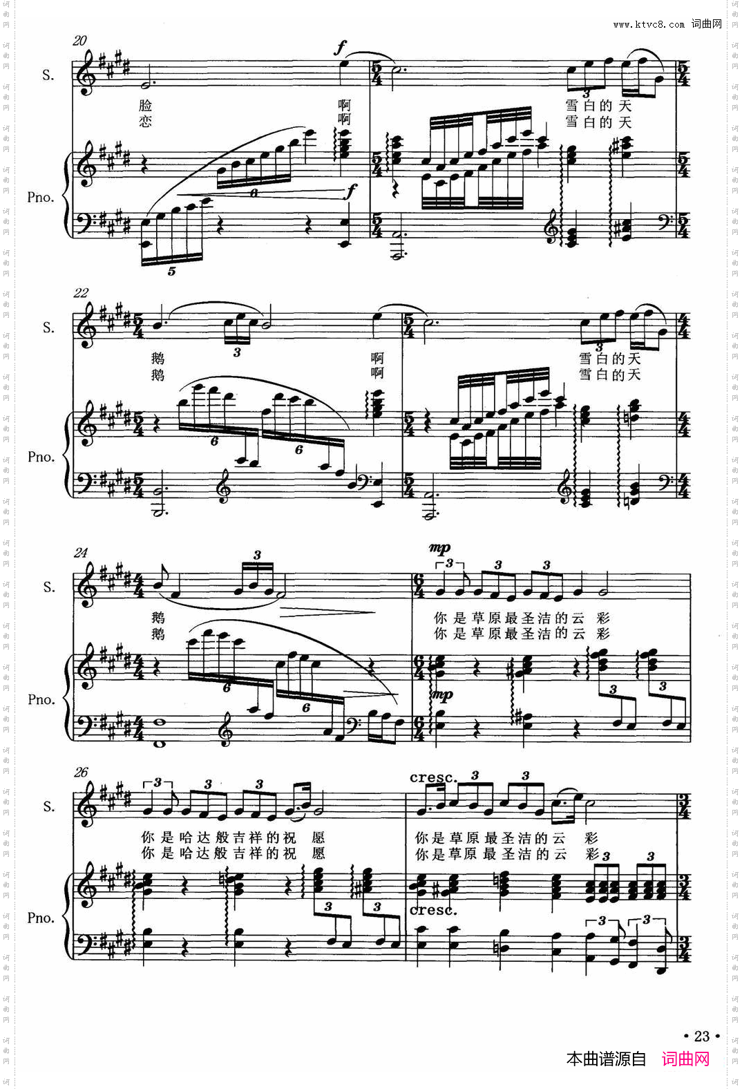 雪白的天鹅正谱