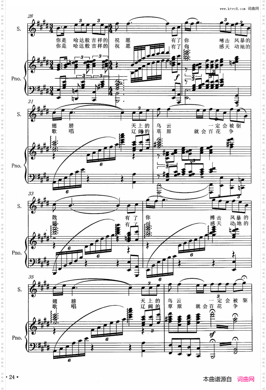 雪白的天鹅正谱