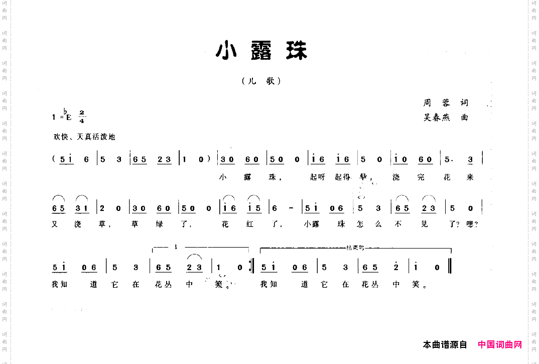 小露珠
