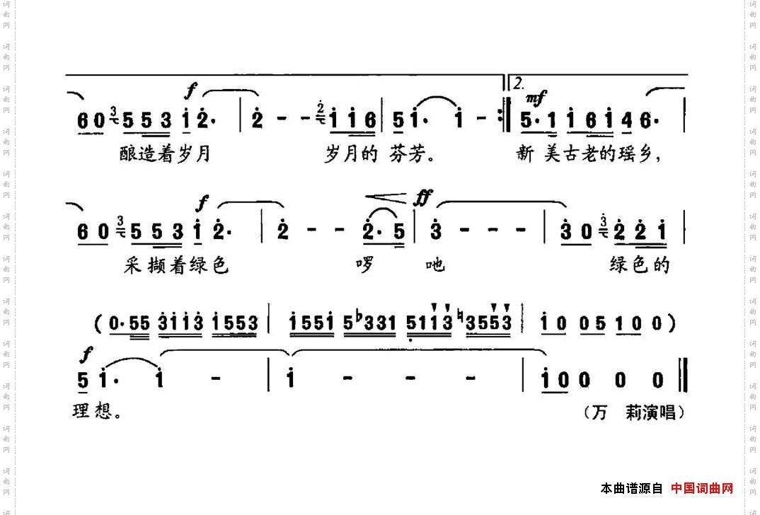 云雾中的塔山茶