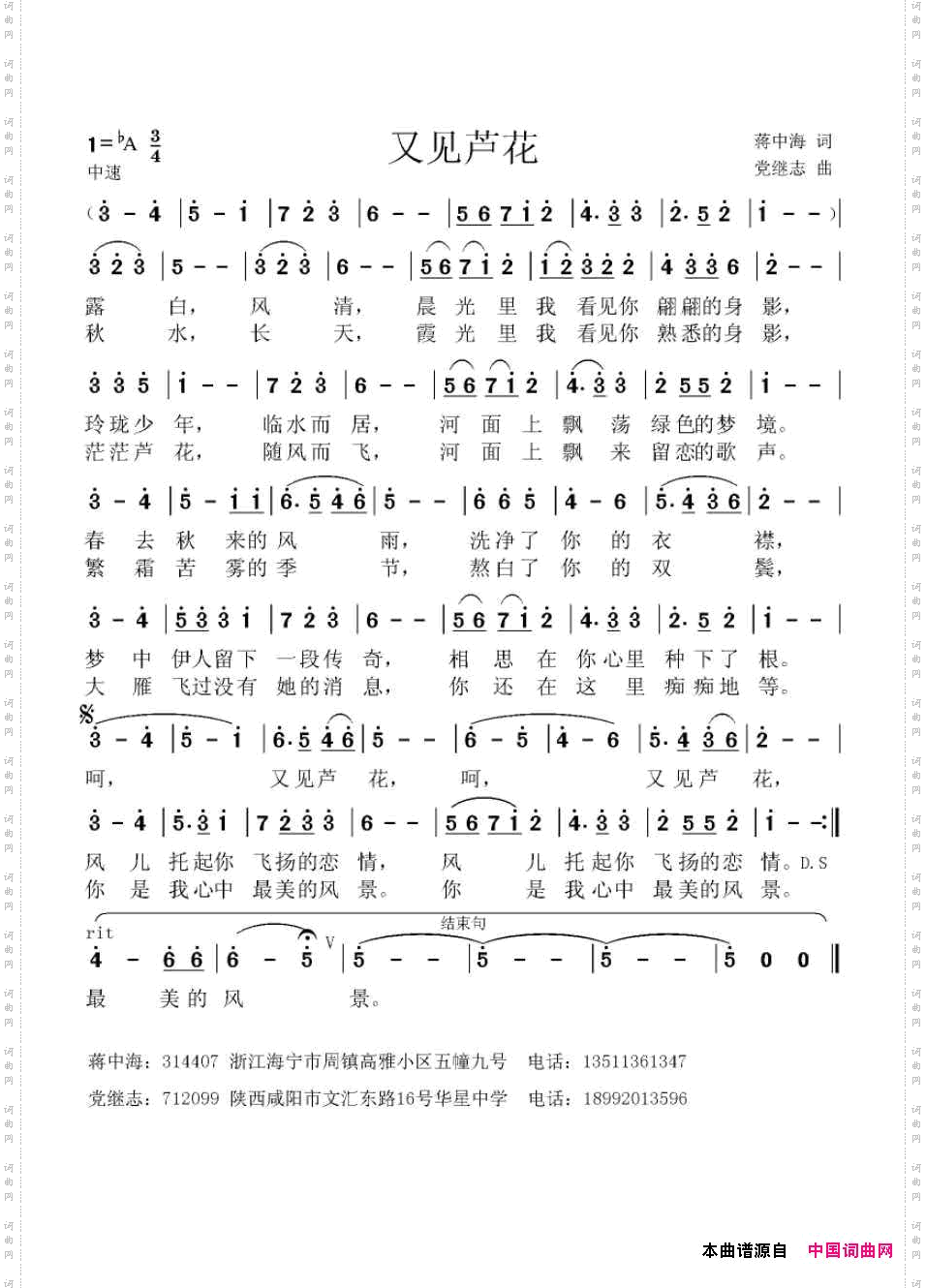 又见芦花