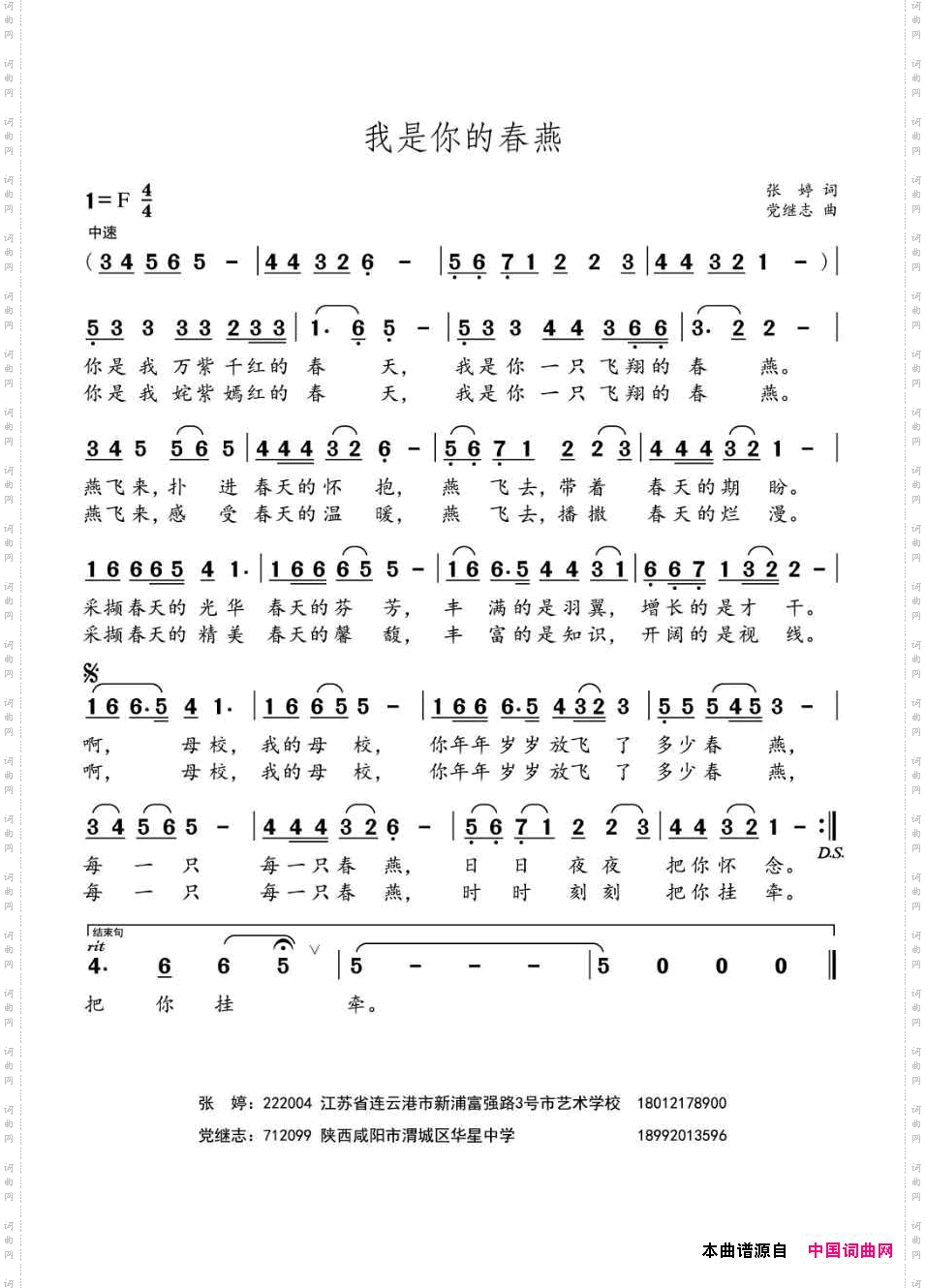 我是你的春燕