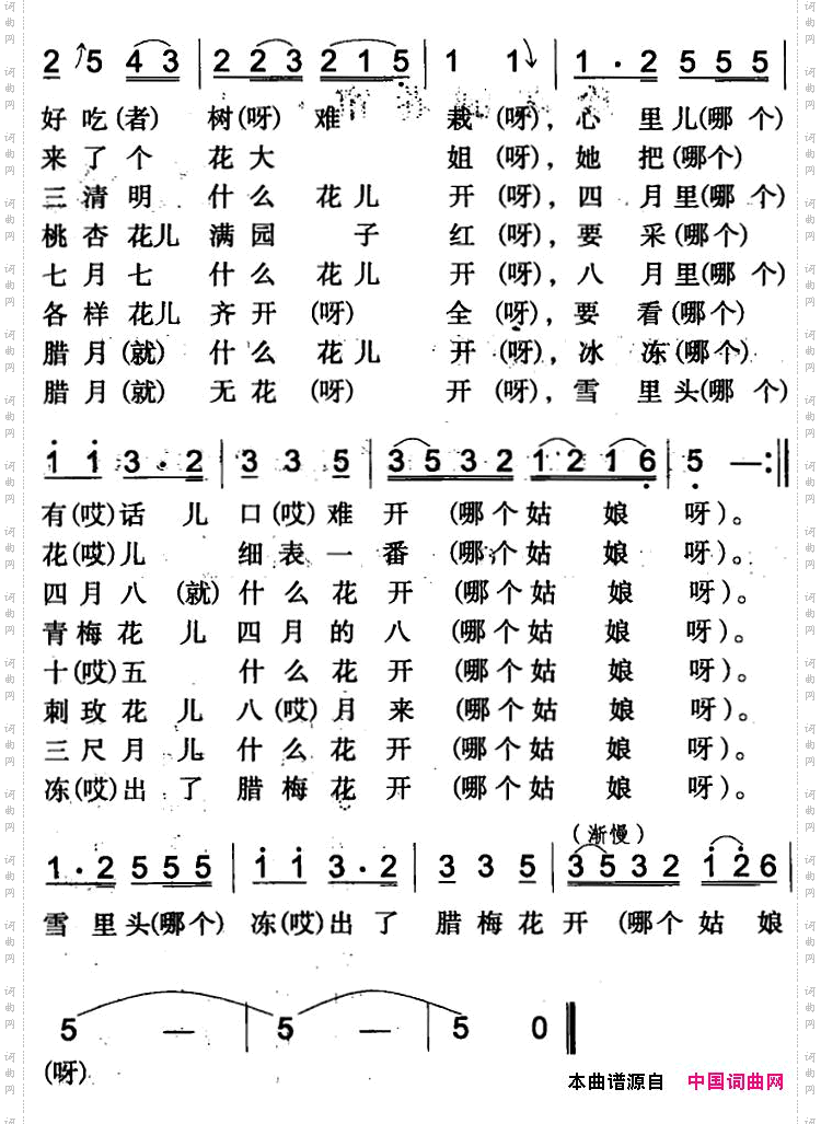 猜花伊犁回族民歌