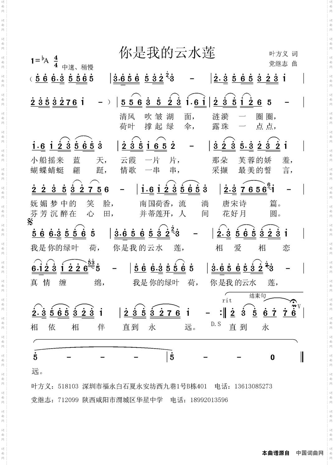 你是我的云水莲