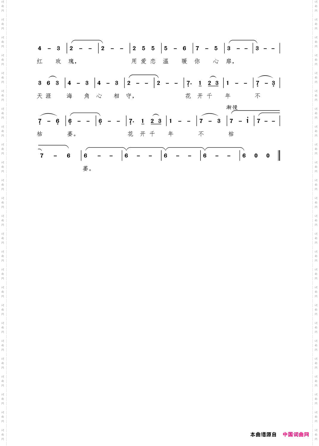 让我做你的红玫瑰