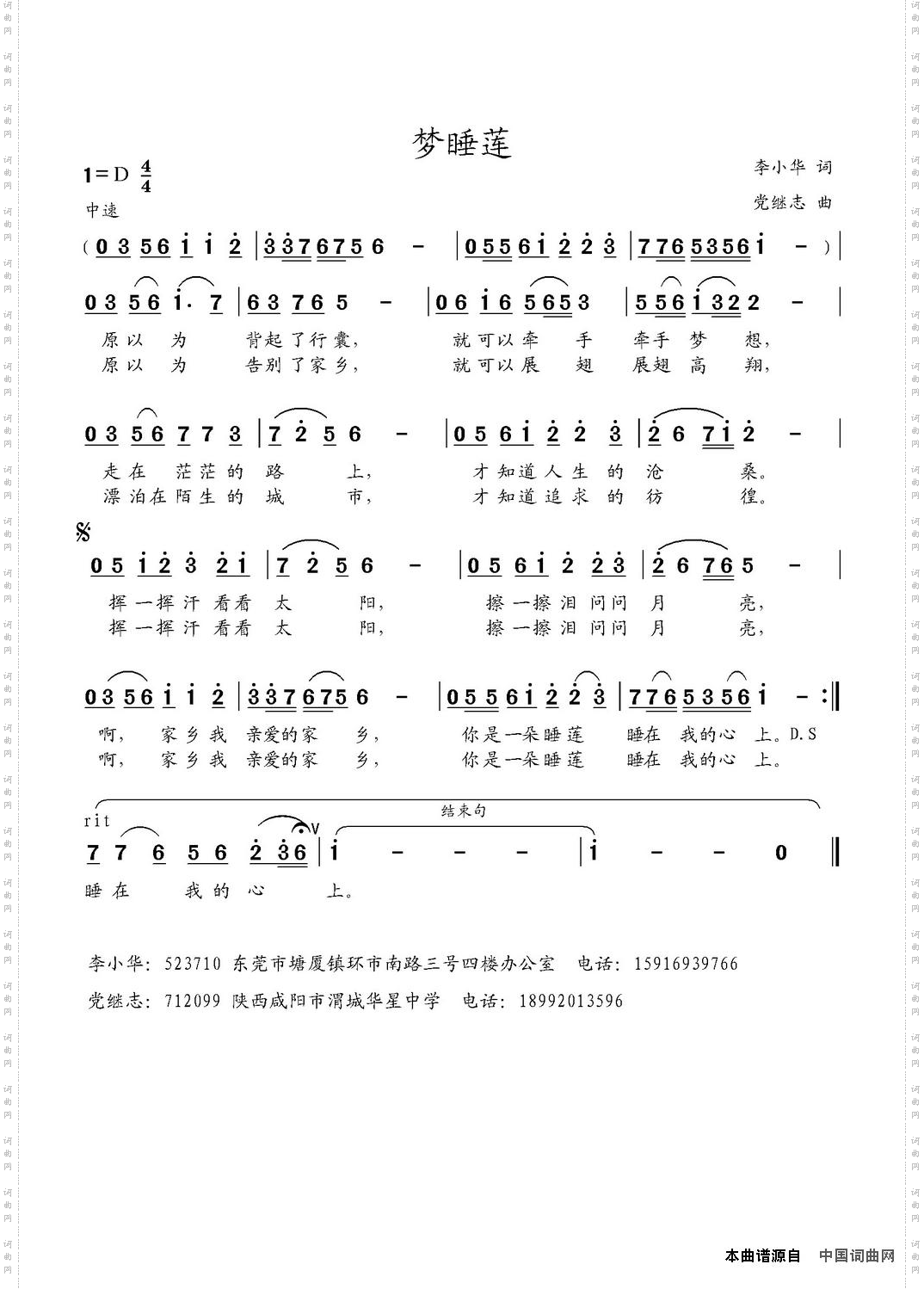 梦睡莲