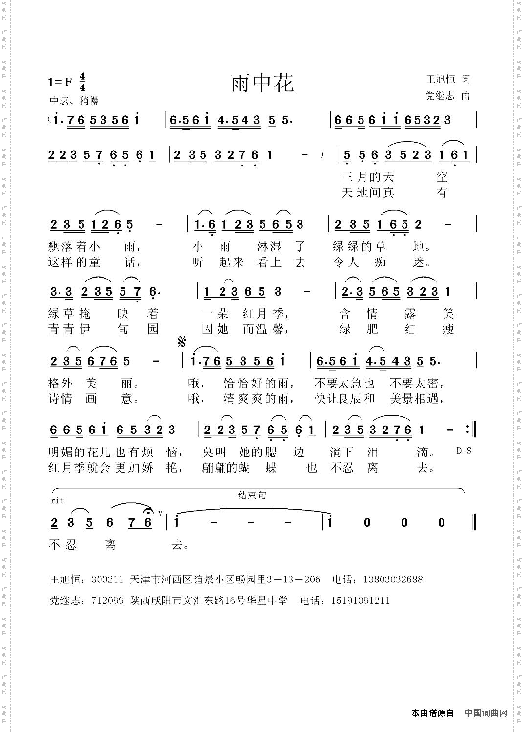 雨中花