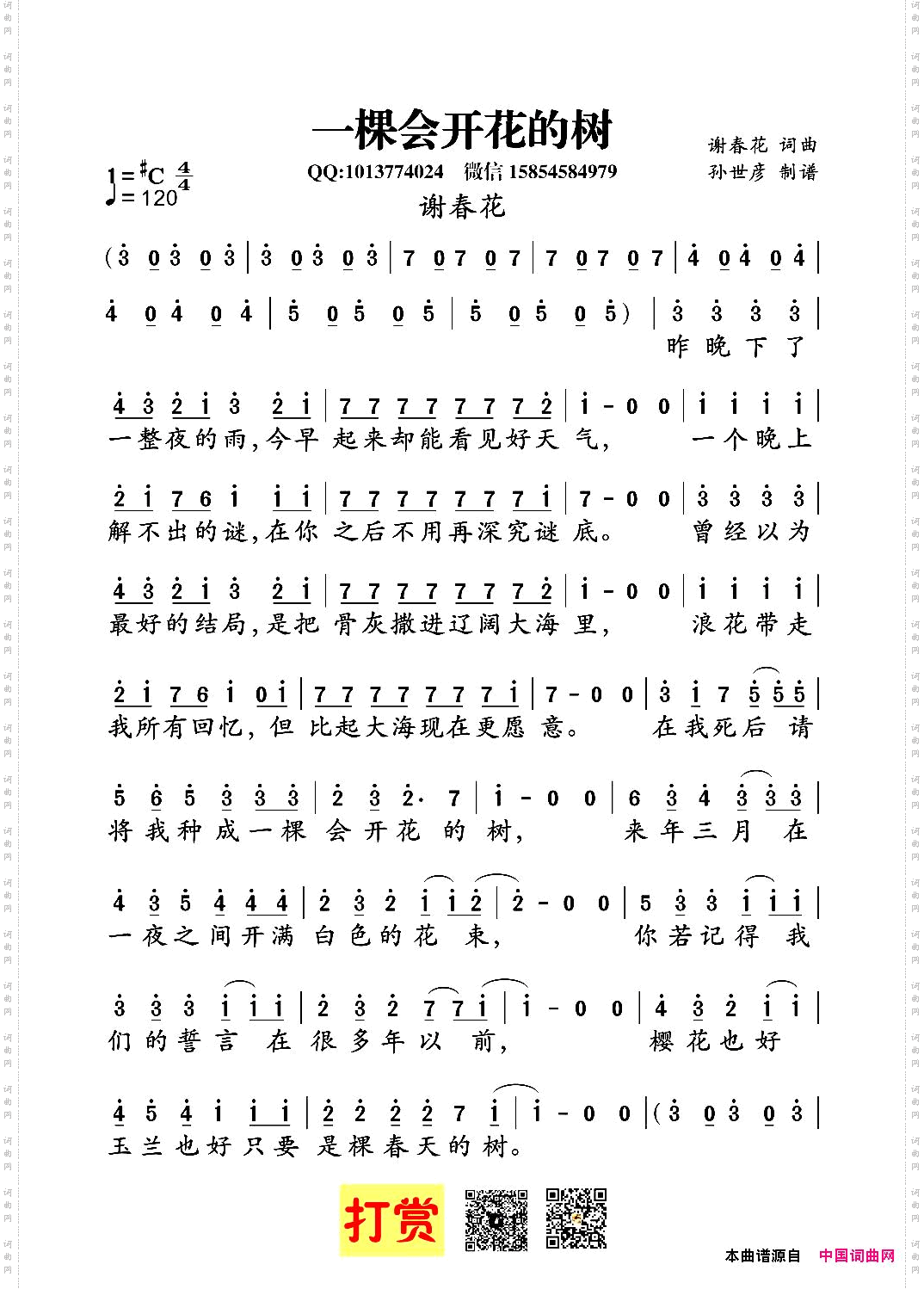 一棵会开花的树