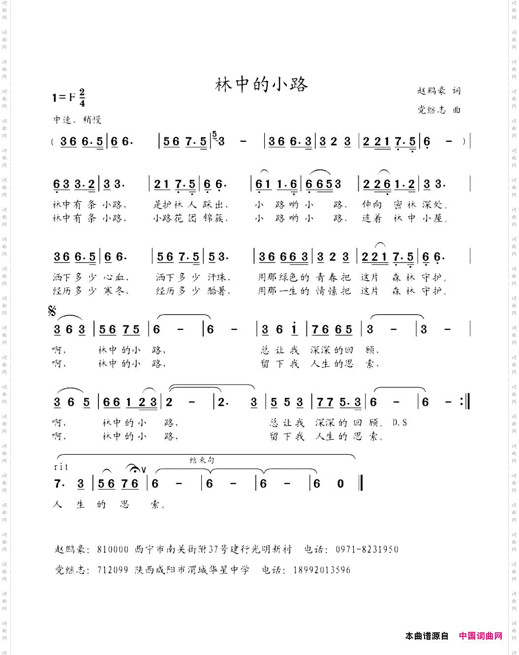 林中的小路