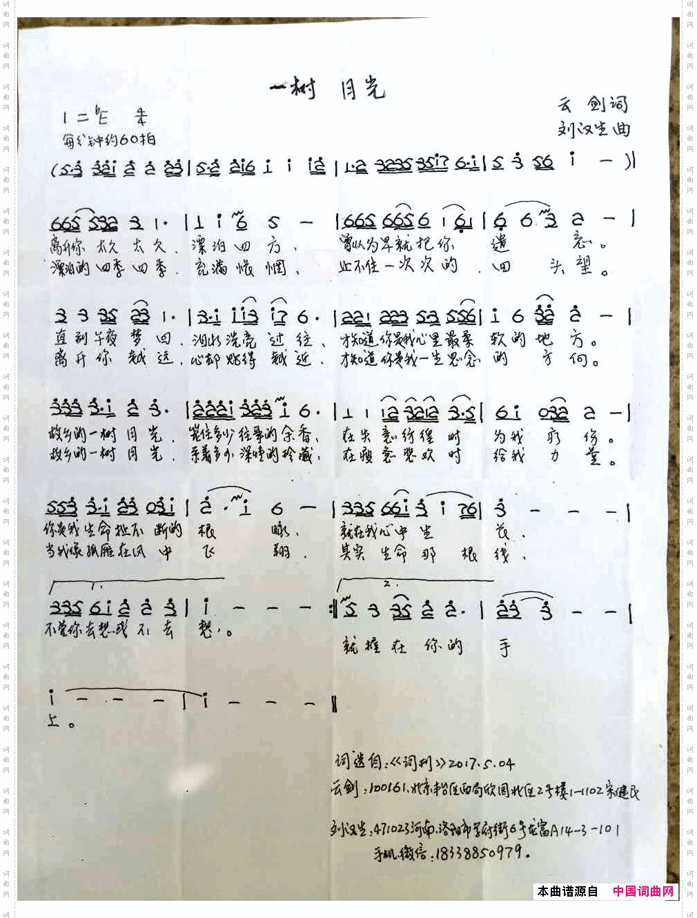 一树月光