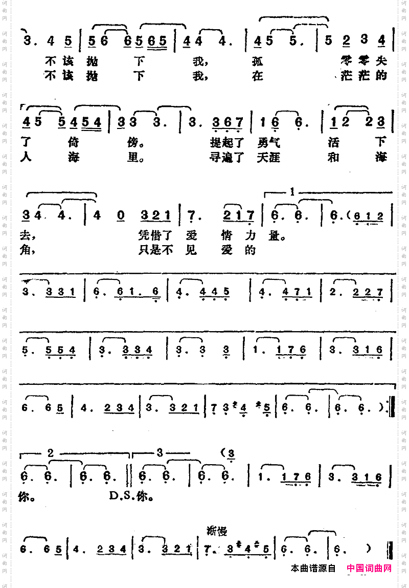 邓丽君演唱金曲：冬之恋情