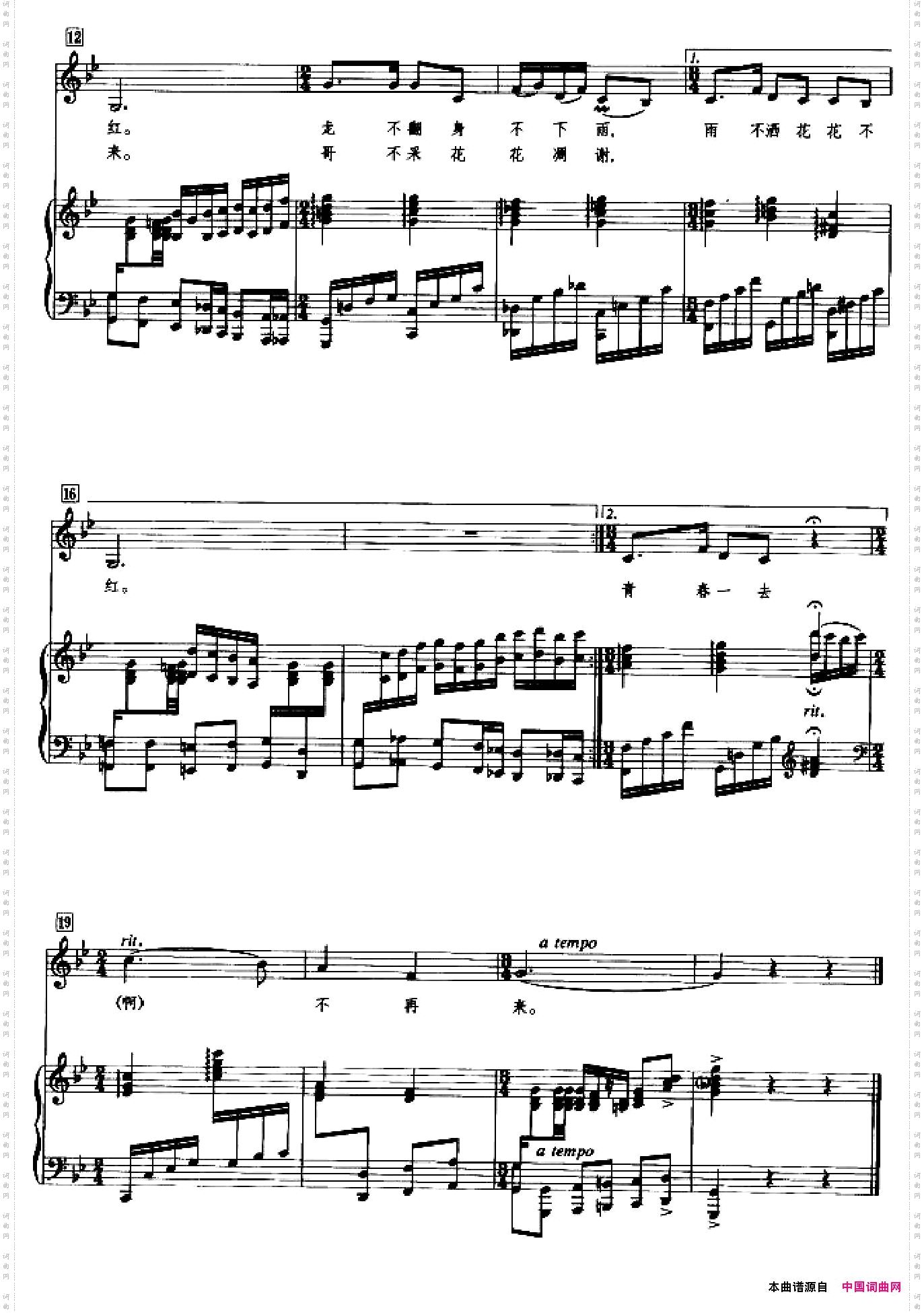 雨不洒花花不红_正谱
