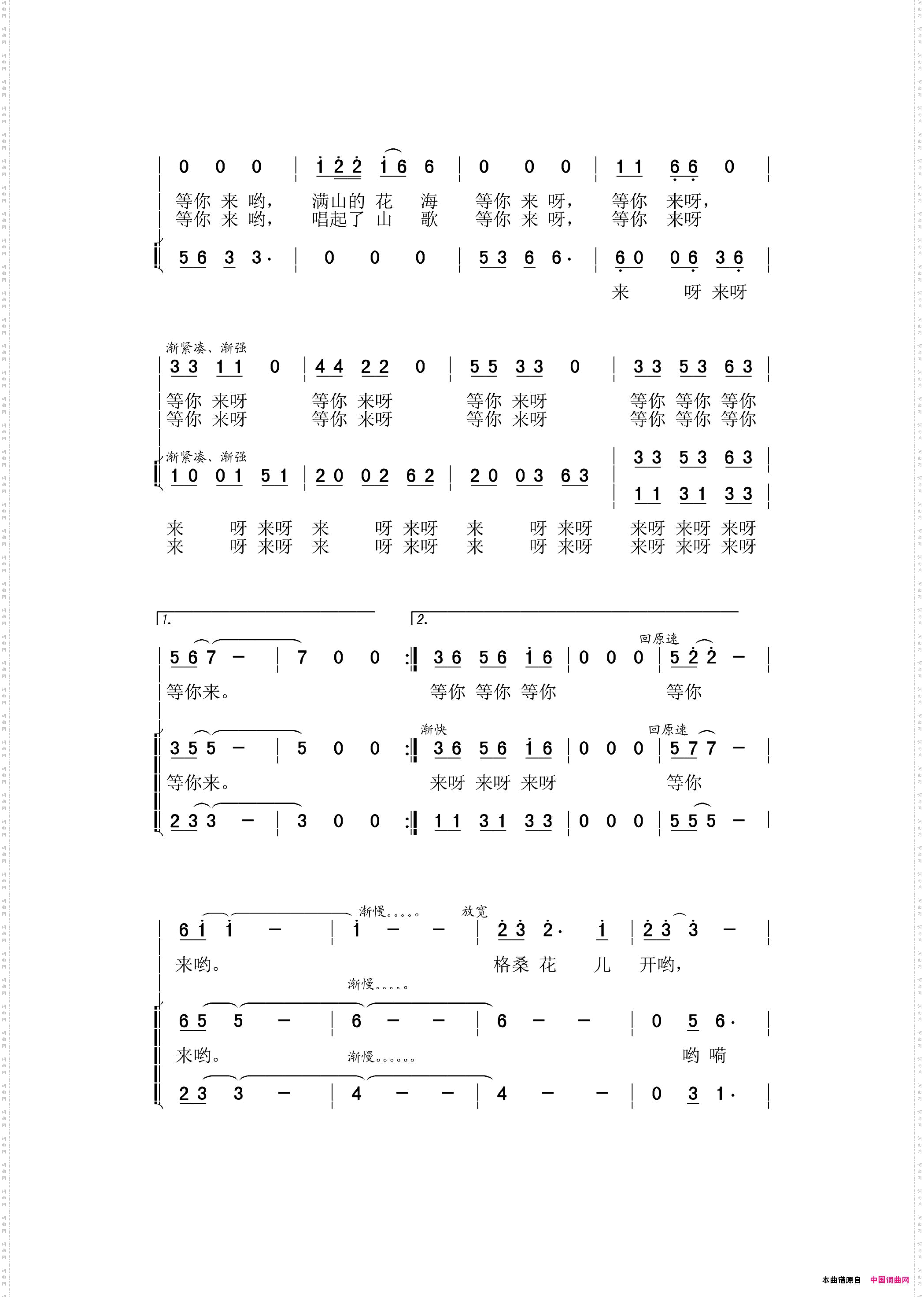 格桑花开我等你来