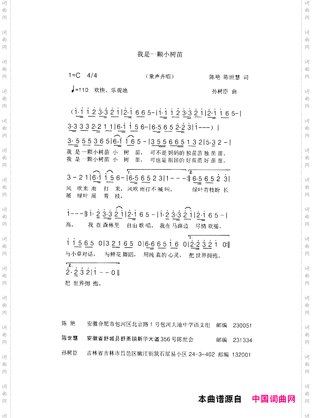 我是一棵小树苗