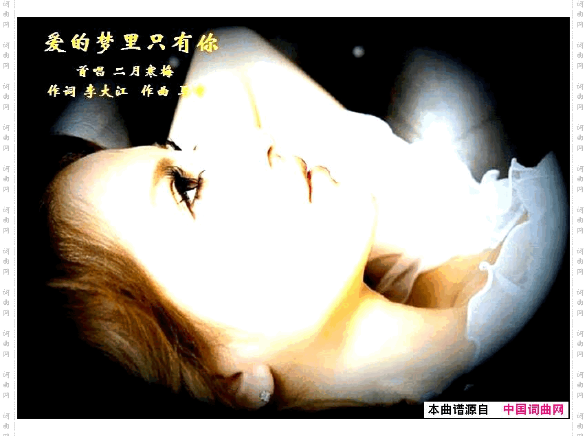 爱的梦里只有你