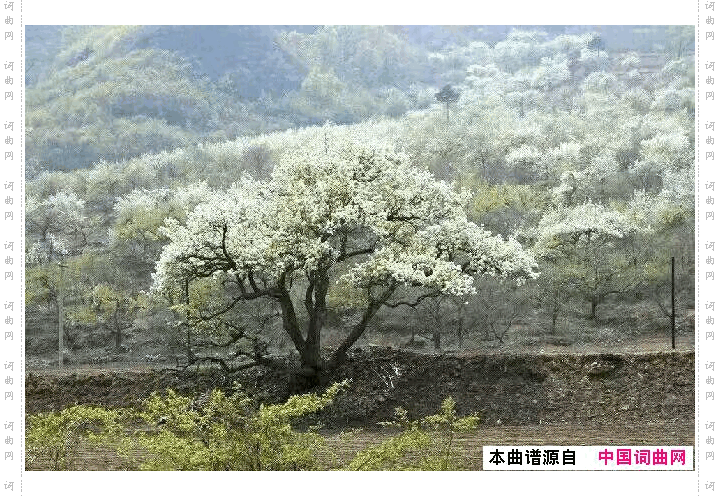 美丽的家乡叫宽厂