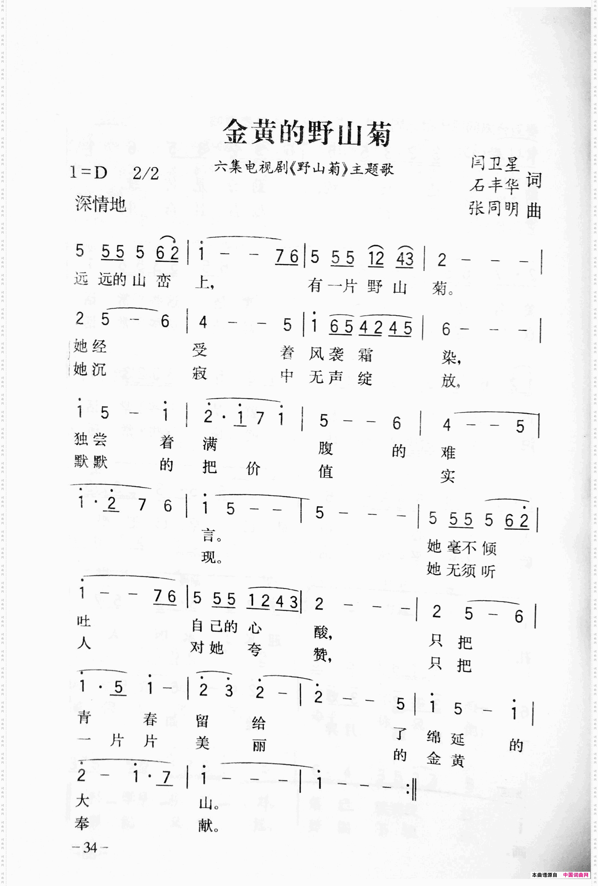 金黄的野山菊