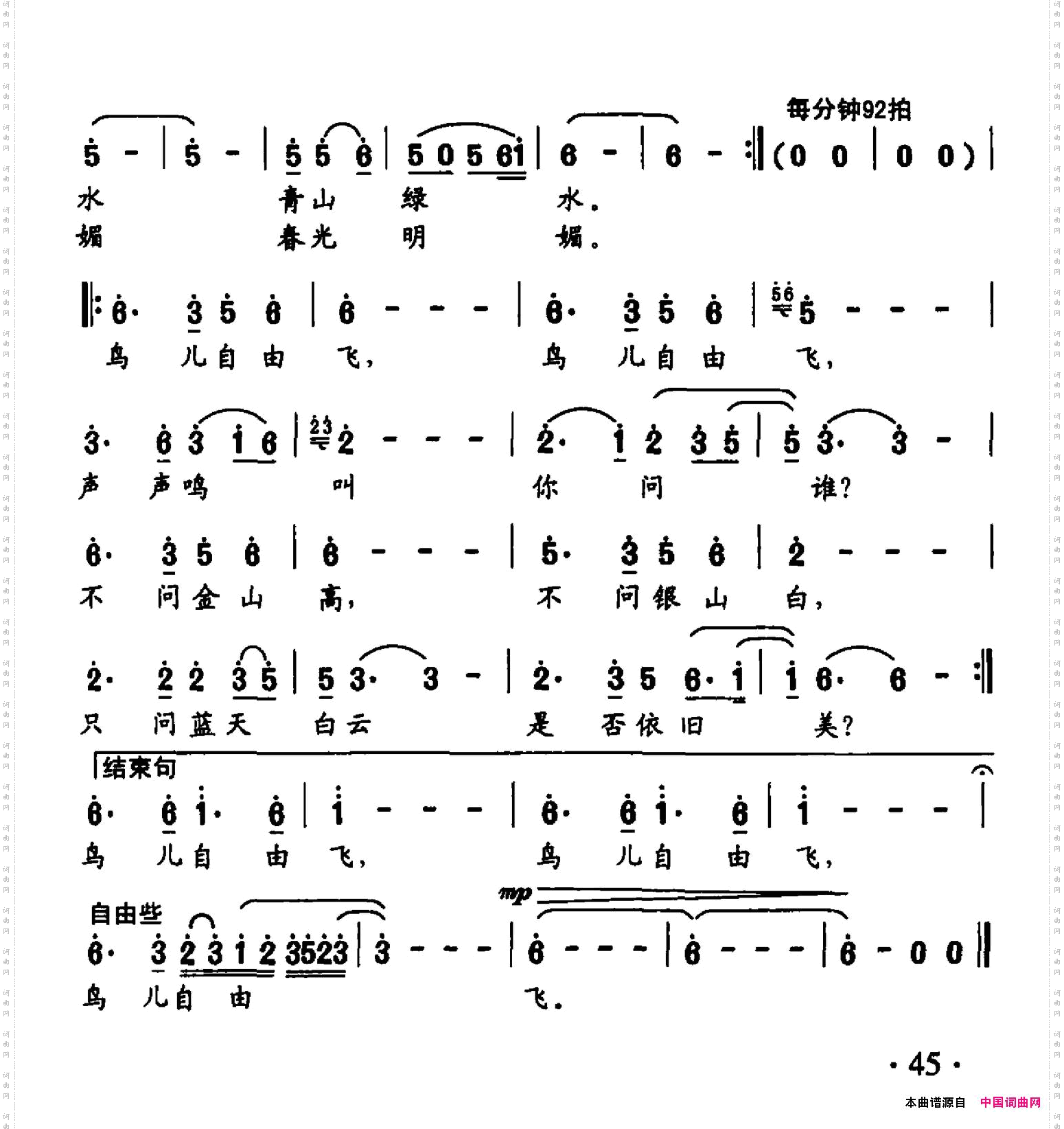 鸟儿自由飞