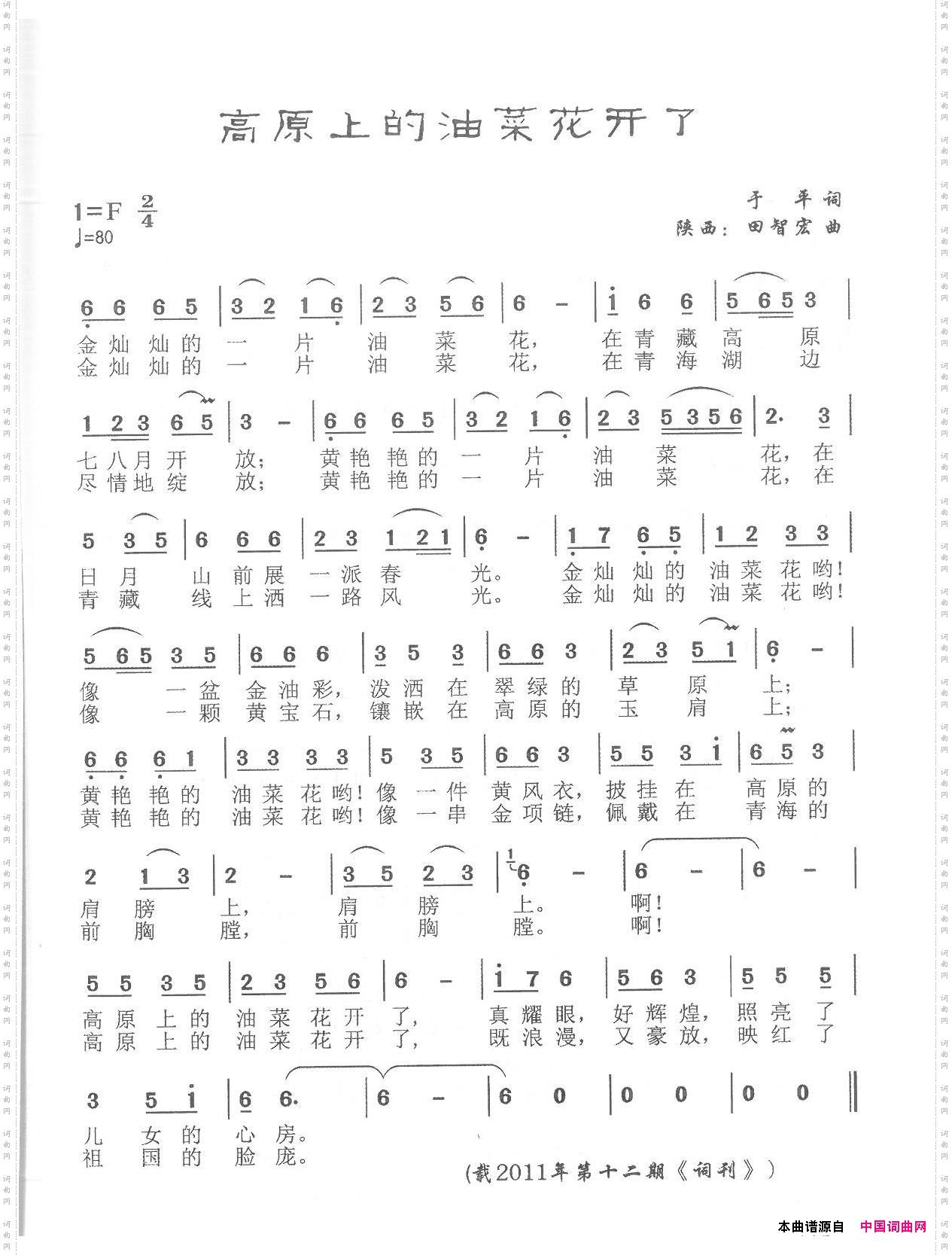 《高原上的油菜花开了》简谱