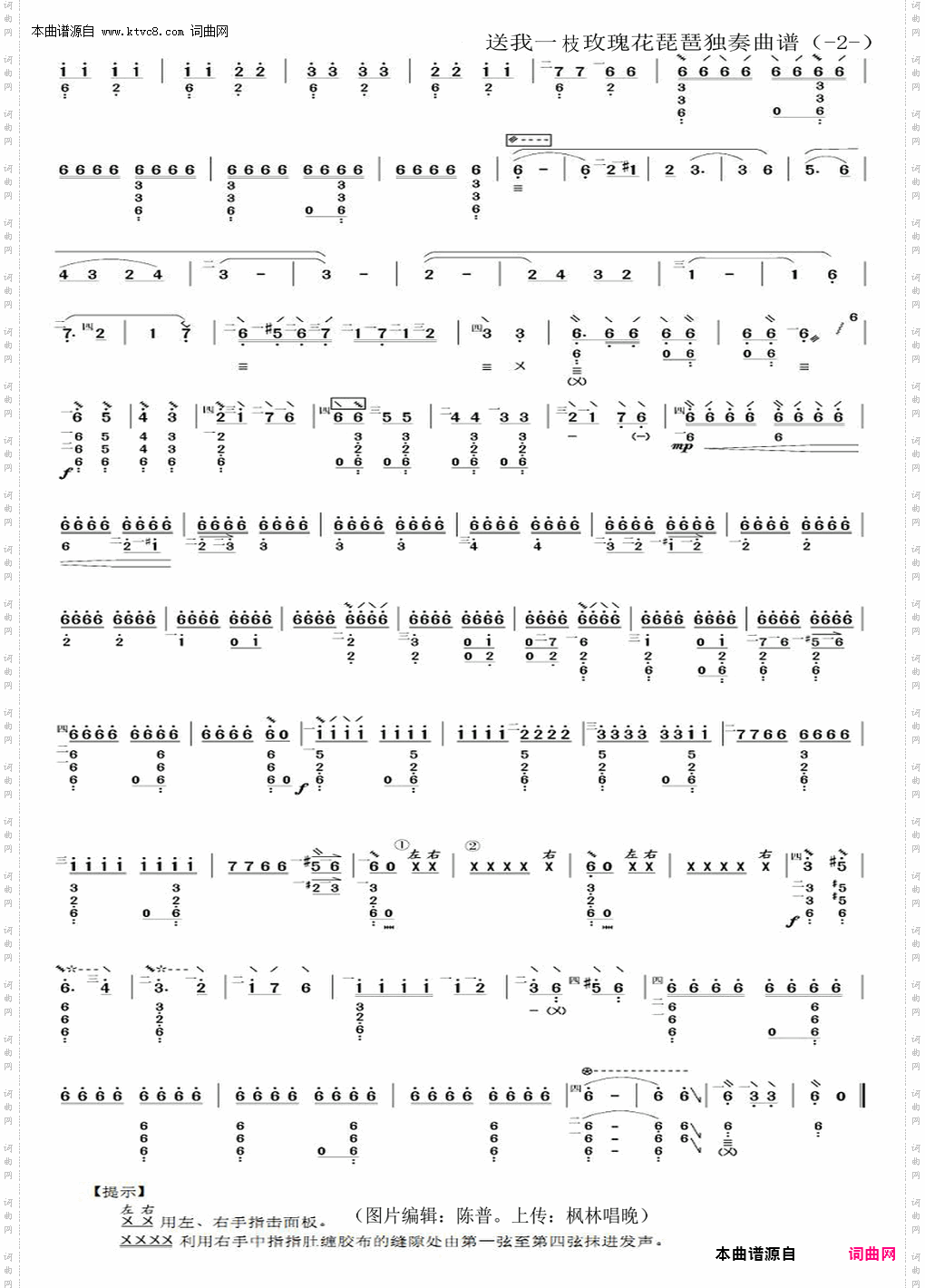 送我一枝玫瑰花_琵琶独奏曲谱