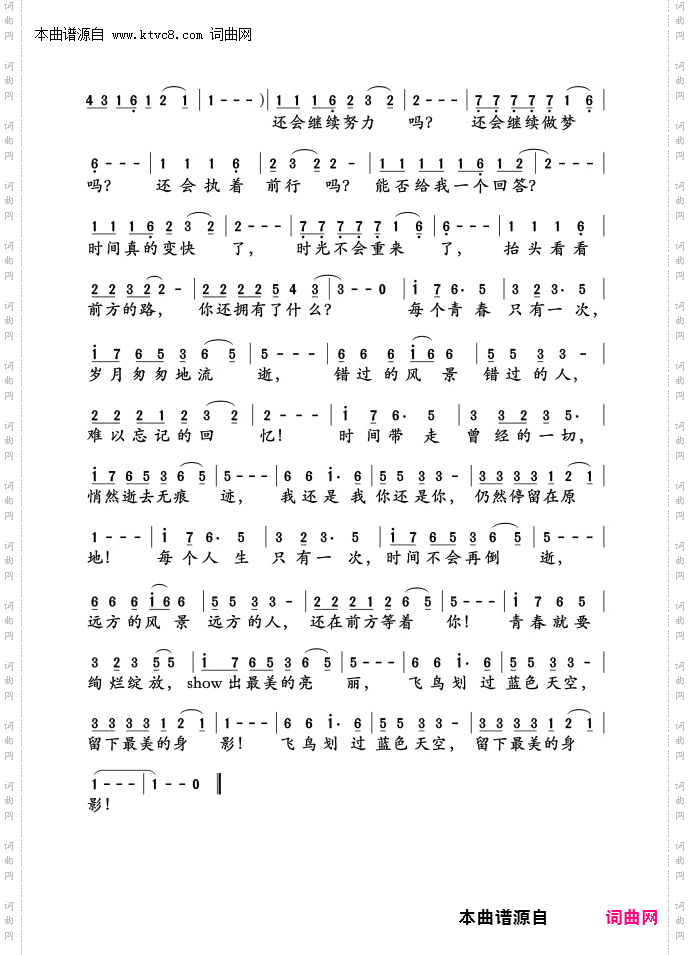 飞鸟的身影