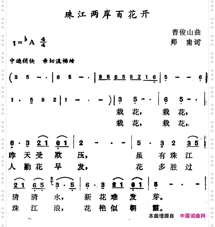 珠江两岸百花开
