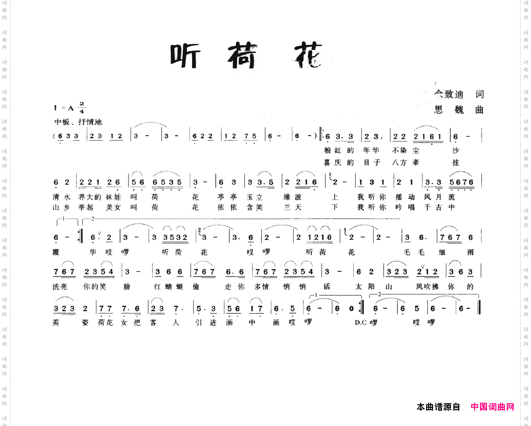 听荷花