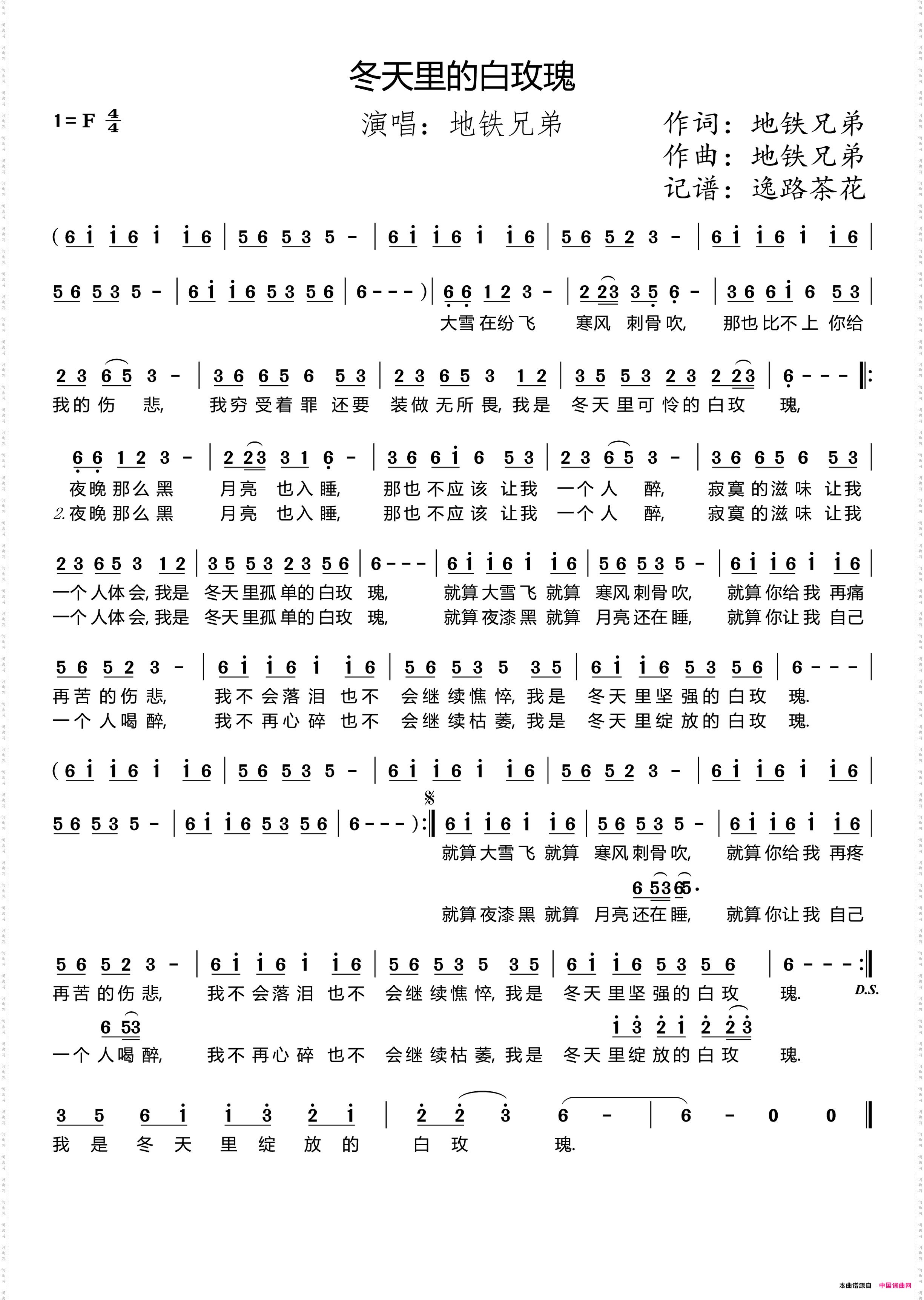 冬天里的白玫瑰