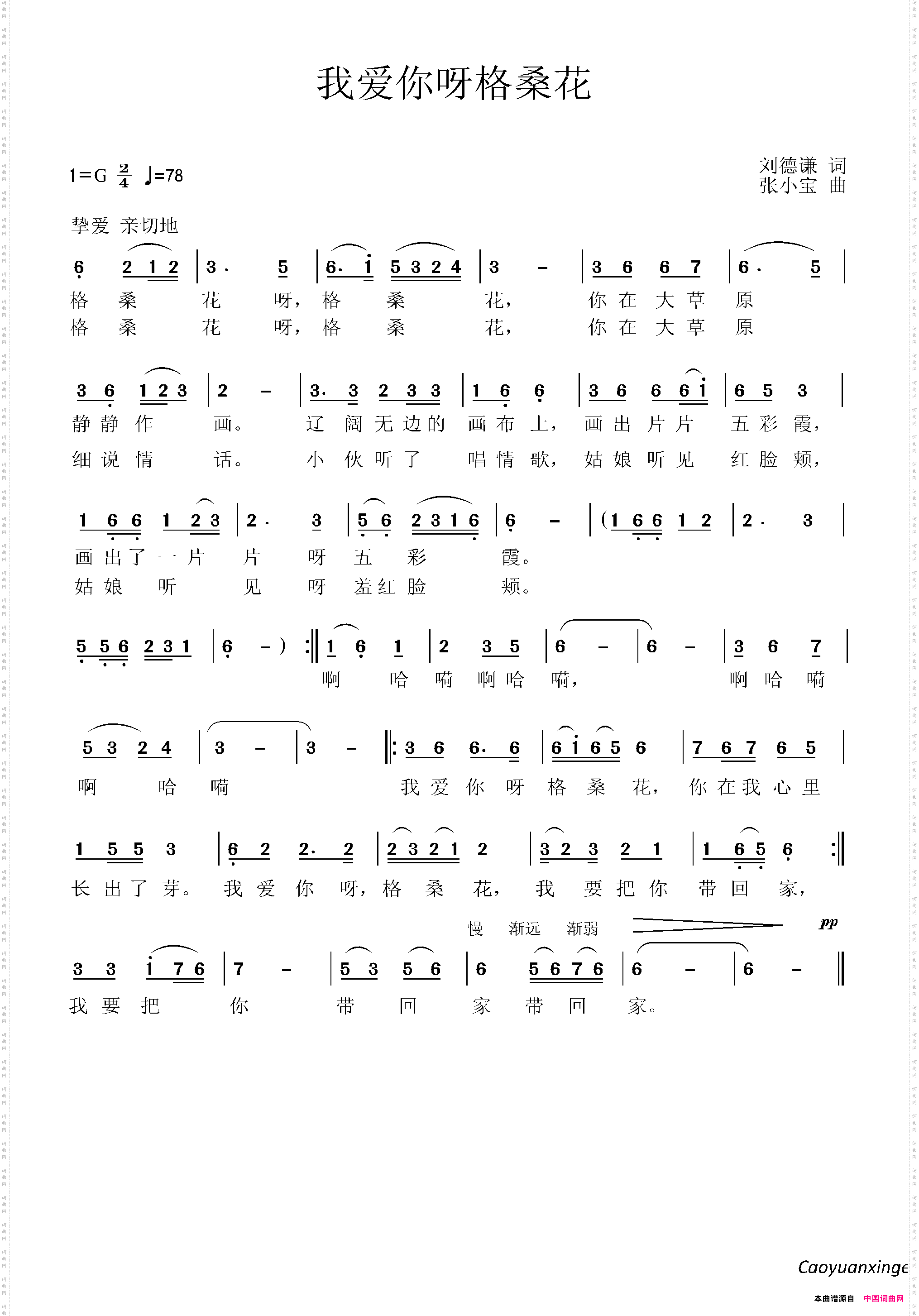 我爱你呀格桑花