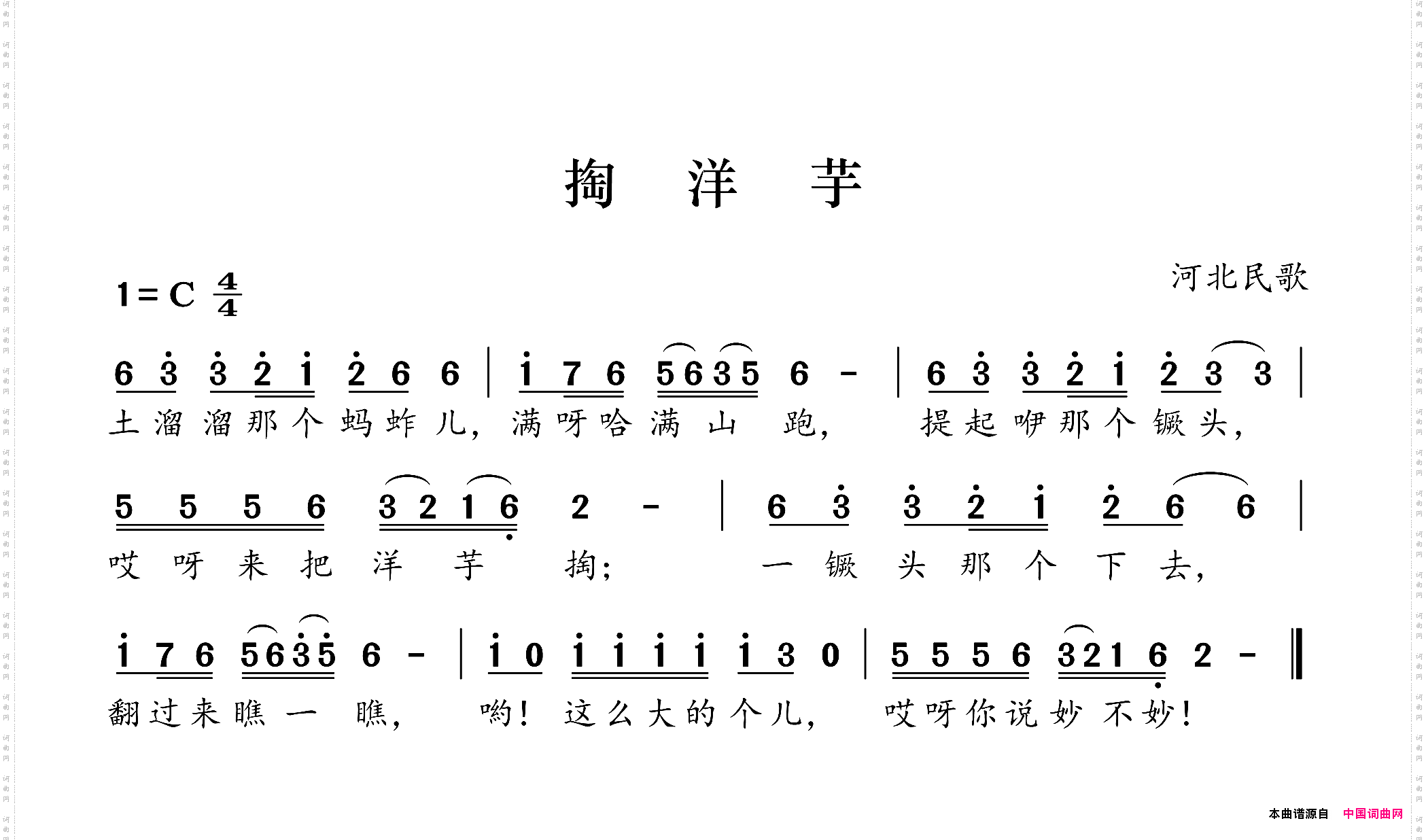 掏洋芋