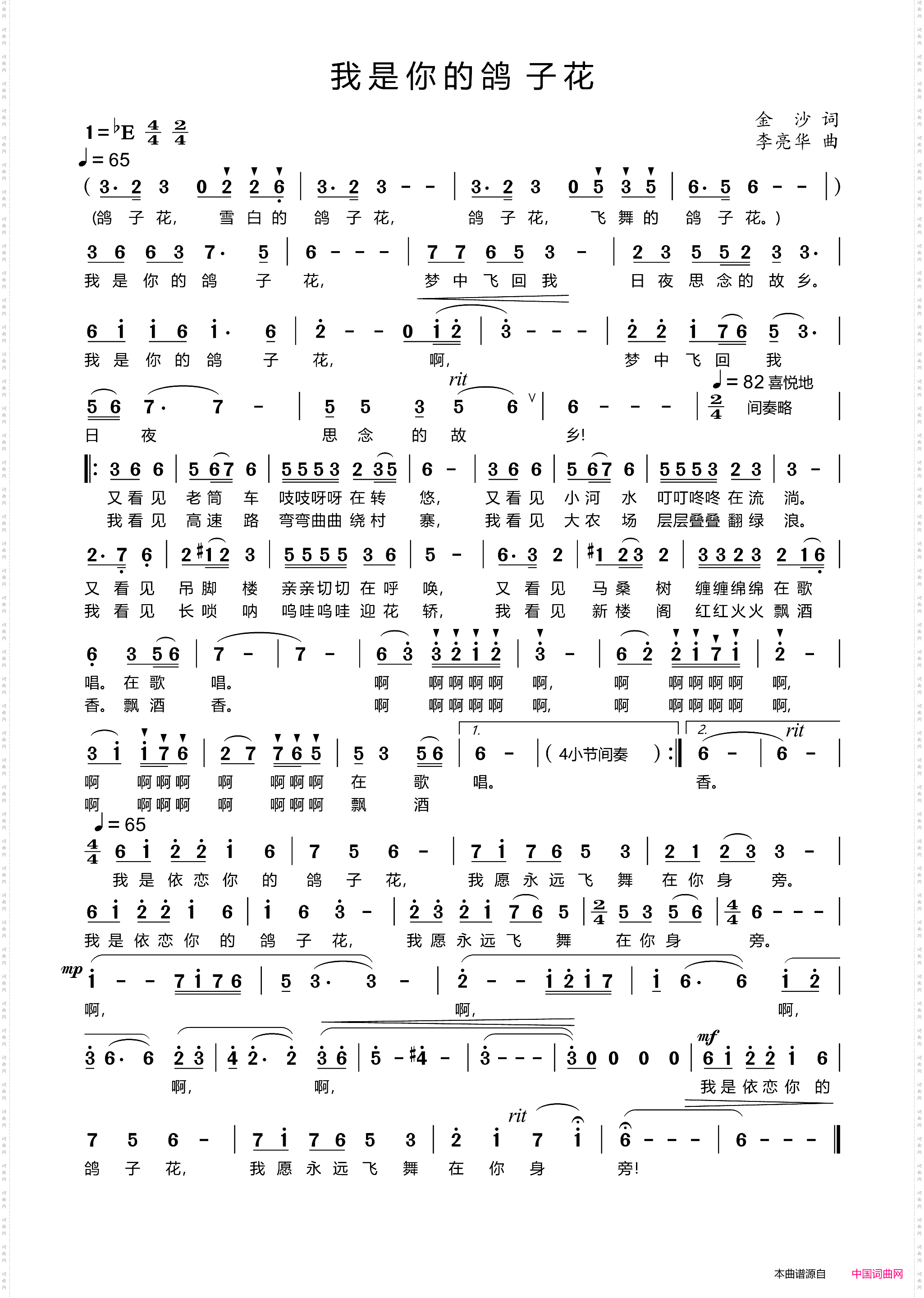 我是你的鸽子花