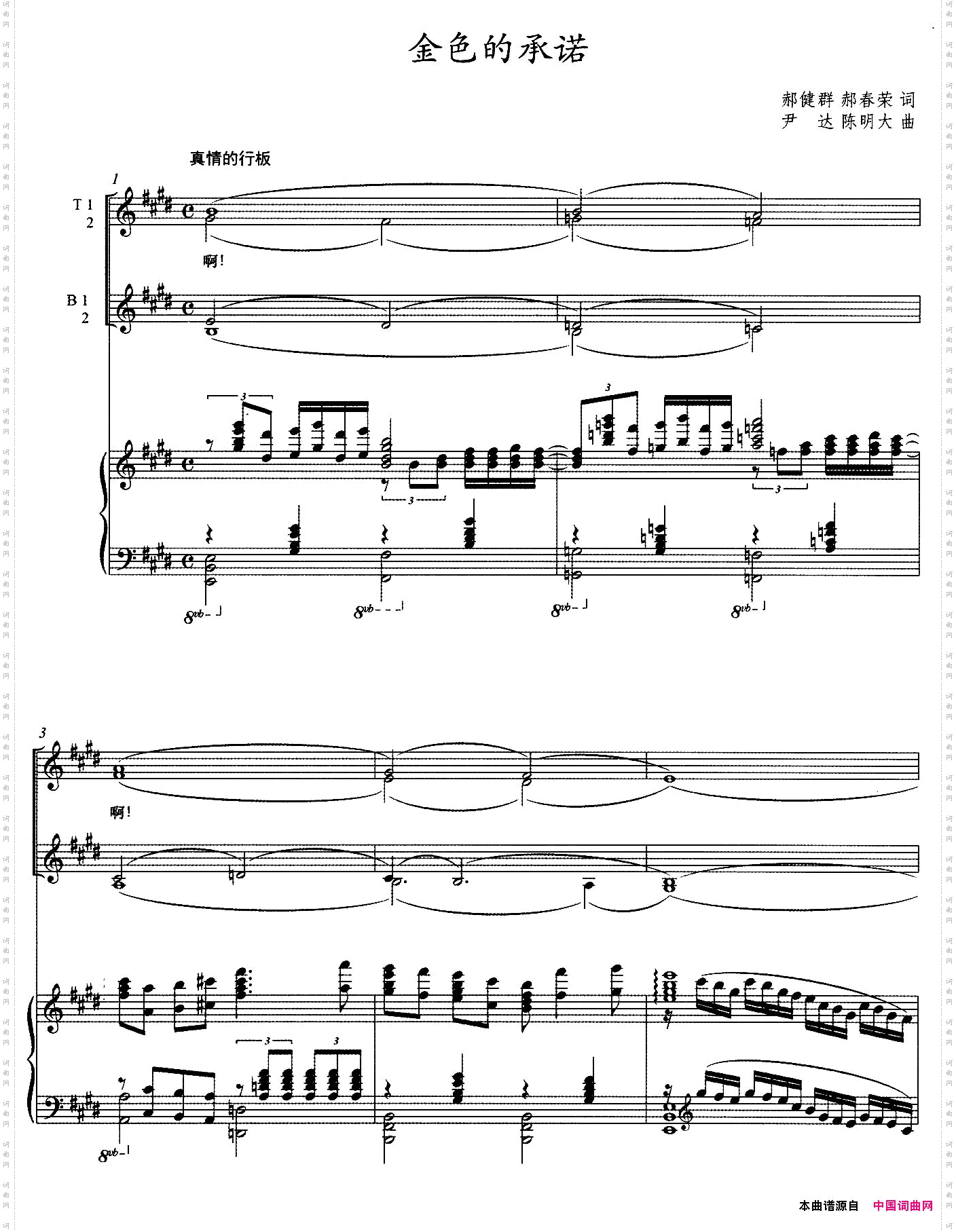 金色的承诺正谱