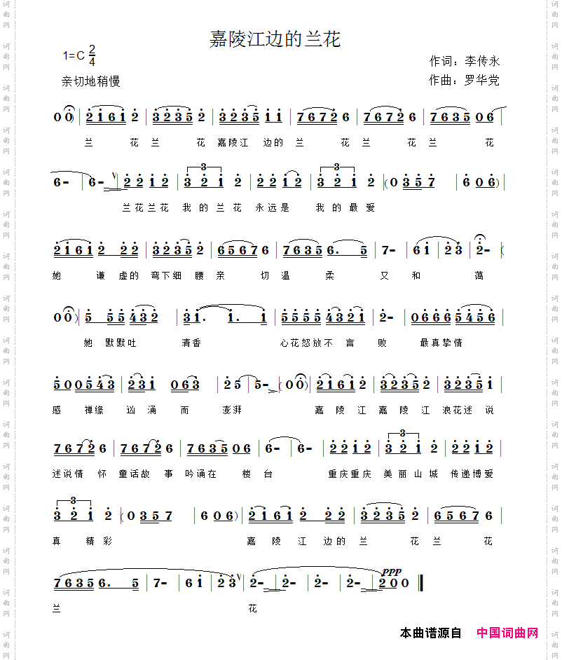 嘉陵江边的兰花