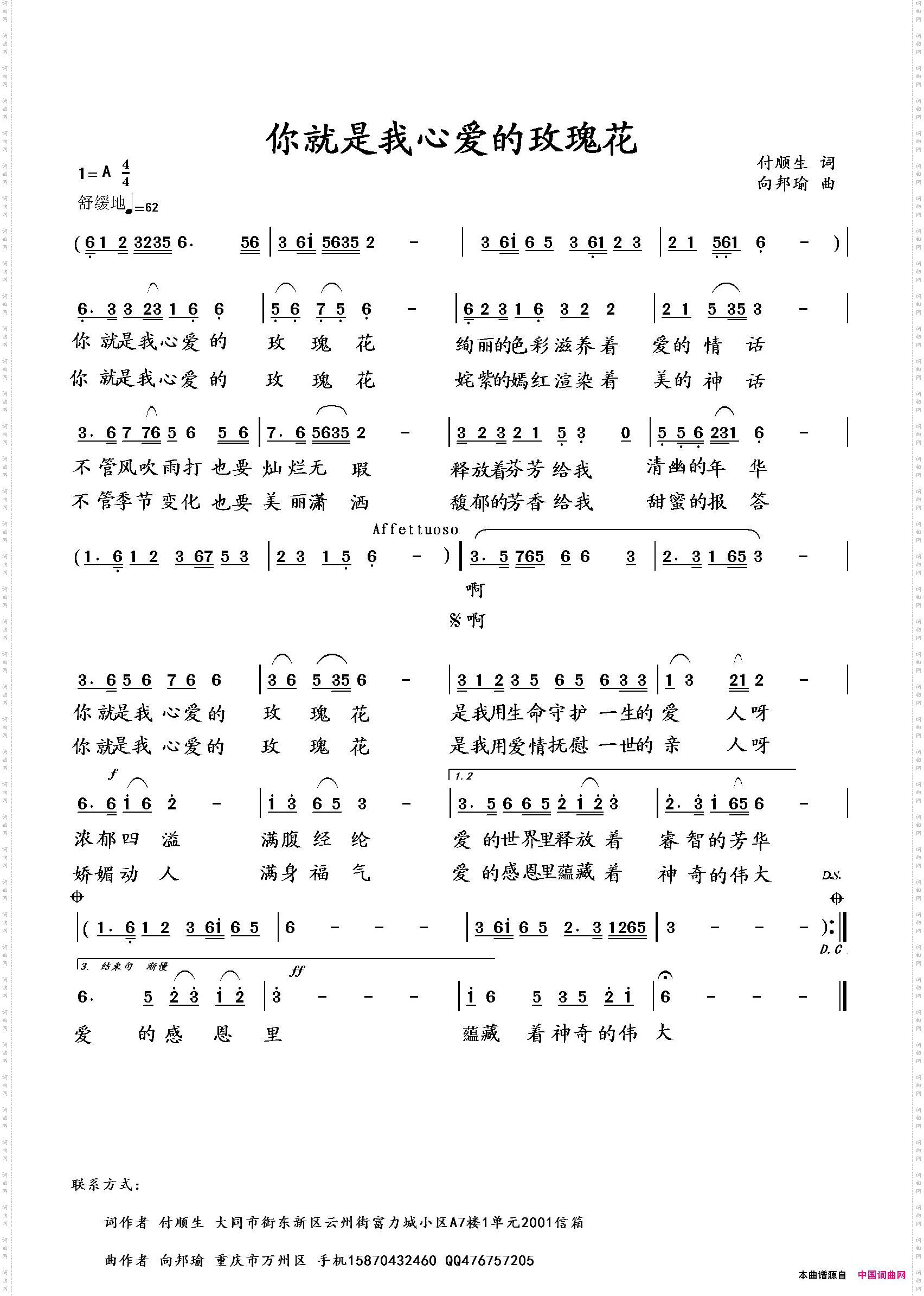 你就是我心爱的玫瑰花