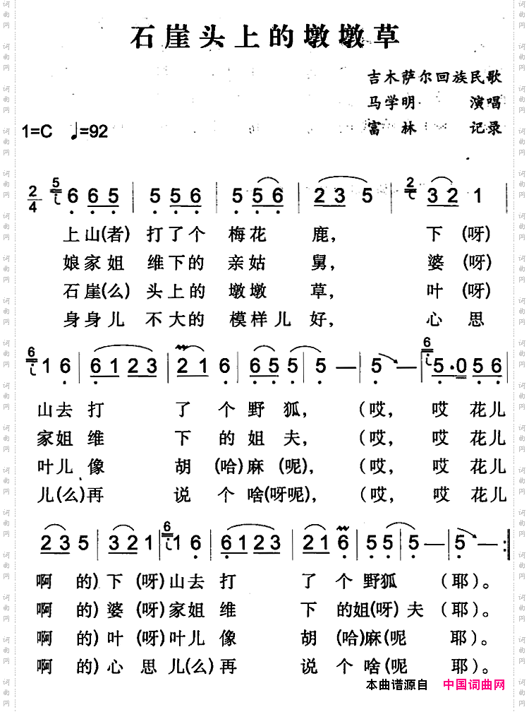 石崖头上的墩墩草吉木萨尔回族民歌