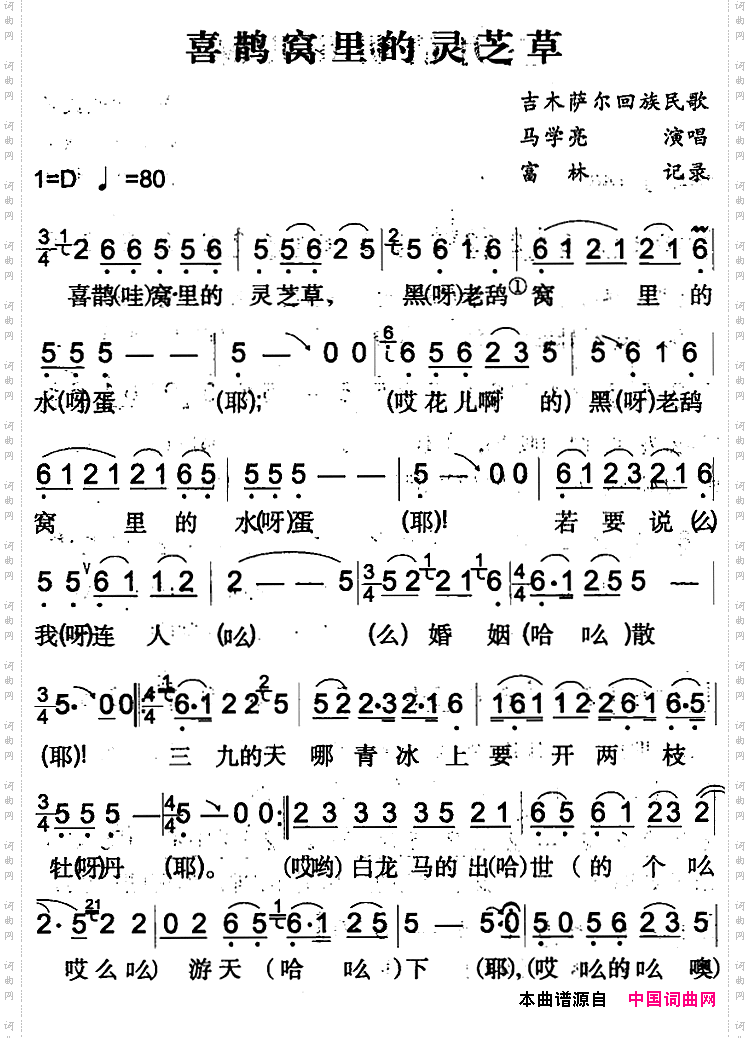 喜鹊窝里的灵芝草吉木萨尔回族民歌