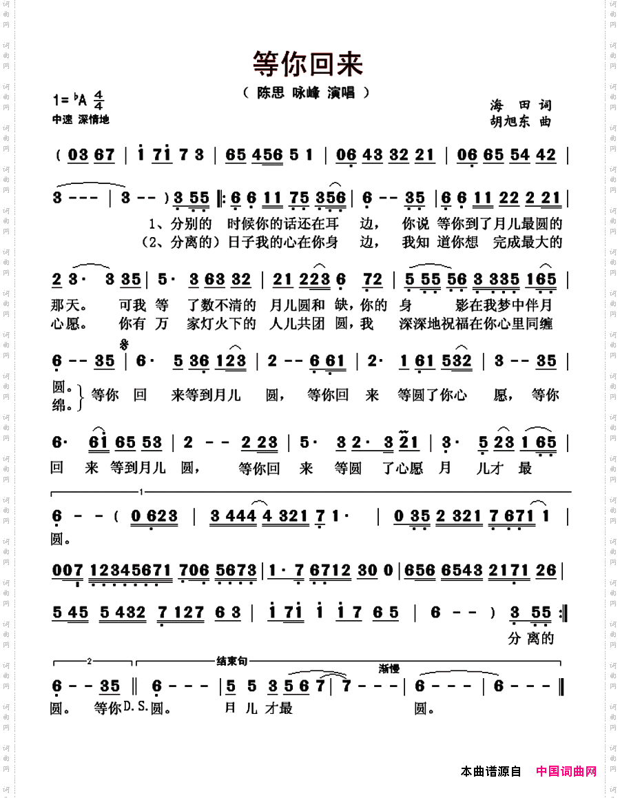 等你回来