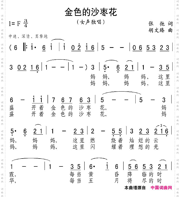 金色的沙枣花