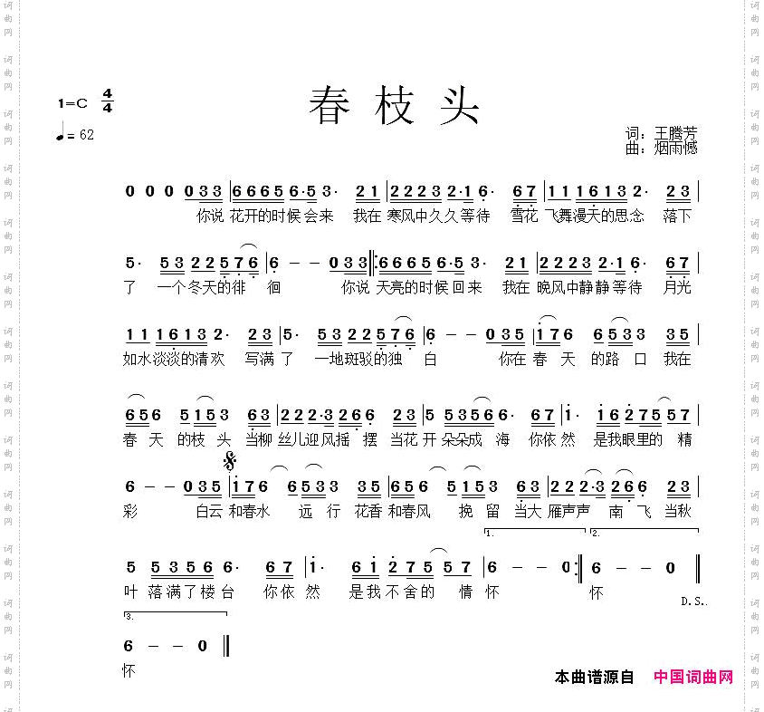 春枝头