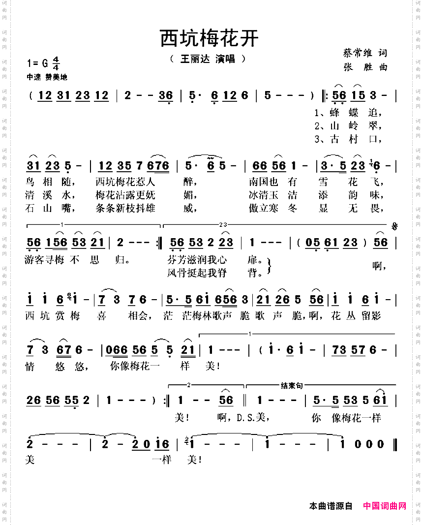 西坑梅花开