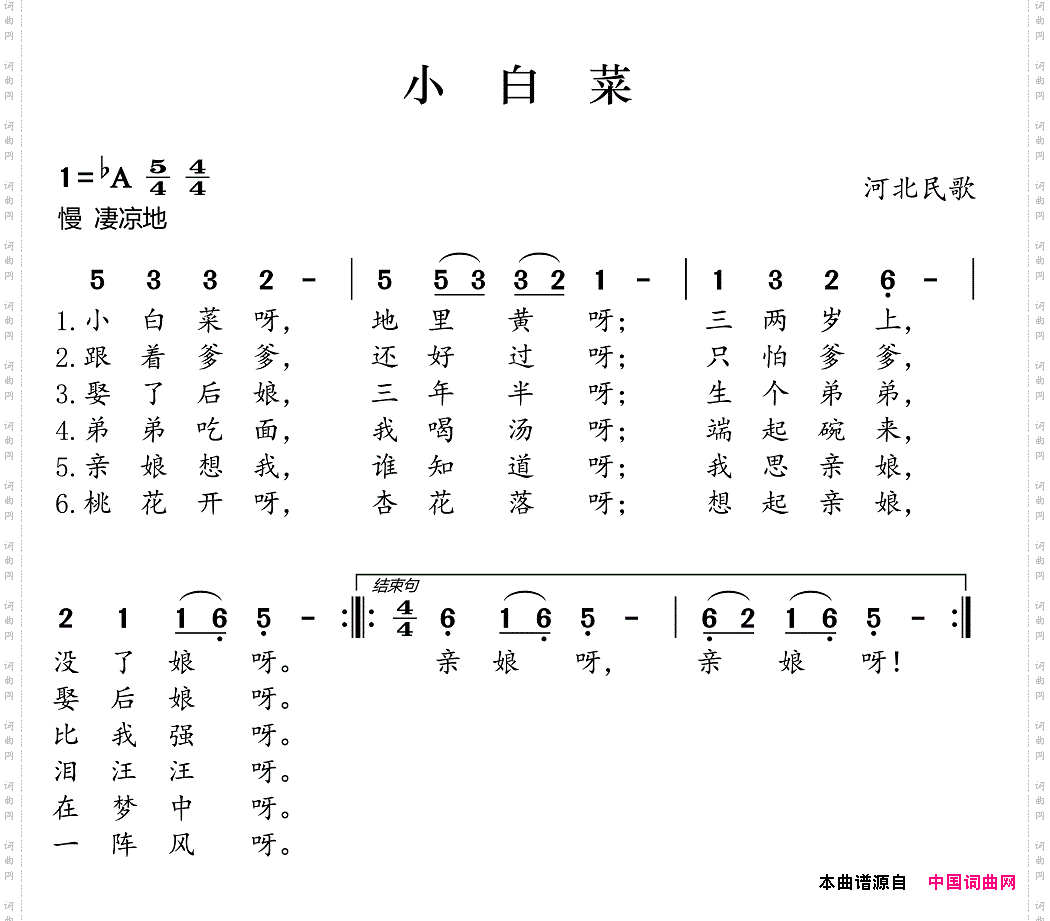 小白菜