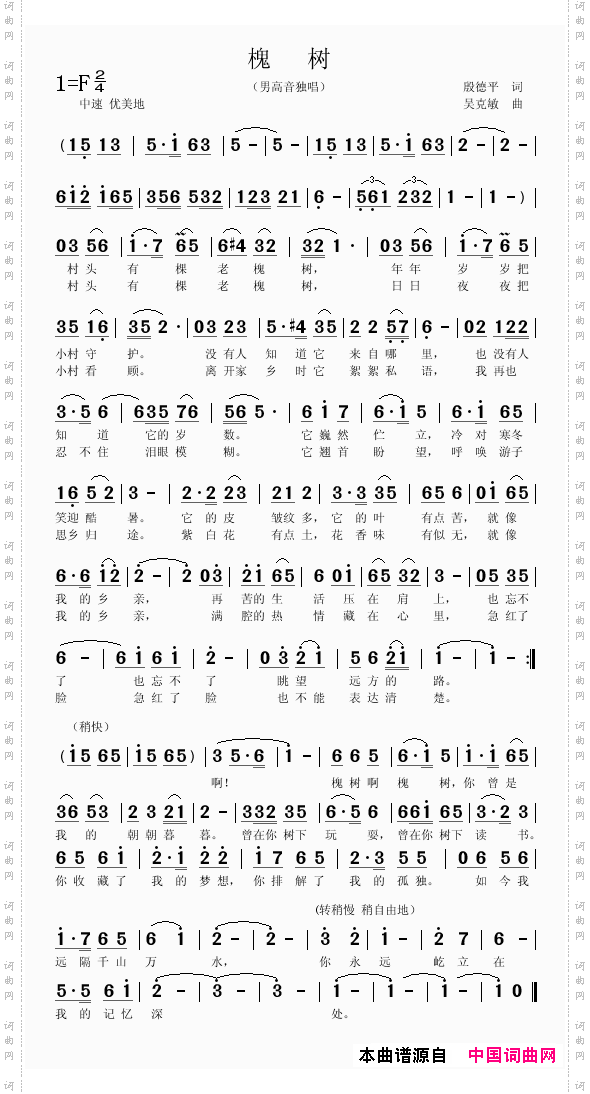 槐树