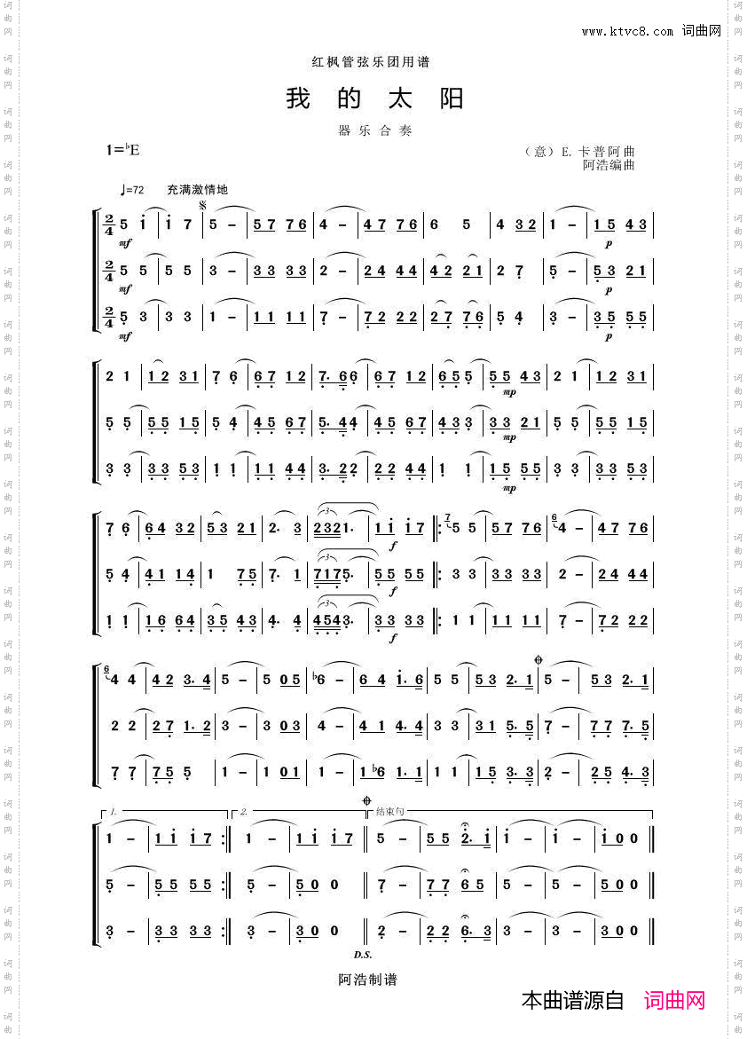 我的太阳器乐合奏
